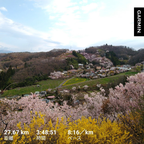 f:id:TOMSAI:20200406103529j:plain
