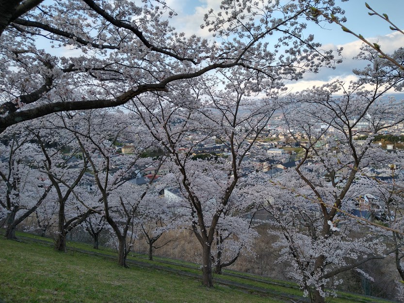 f:id:TOMSAI:20200406103908j:plain