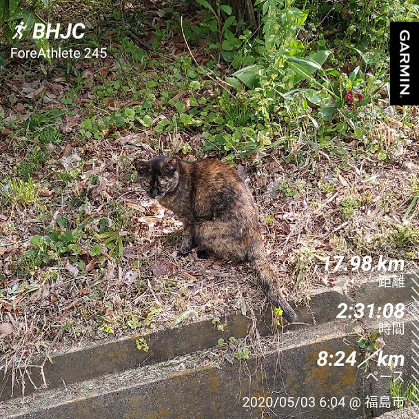 f:id:TOMSAI:20200507141234j:plain