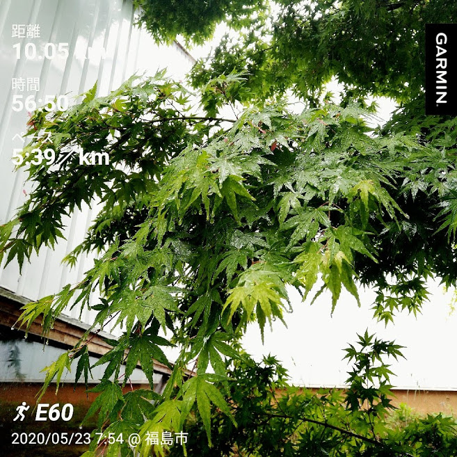 f:id:TOMSAI:20200526125848j:plain