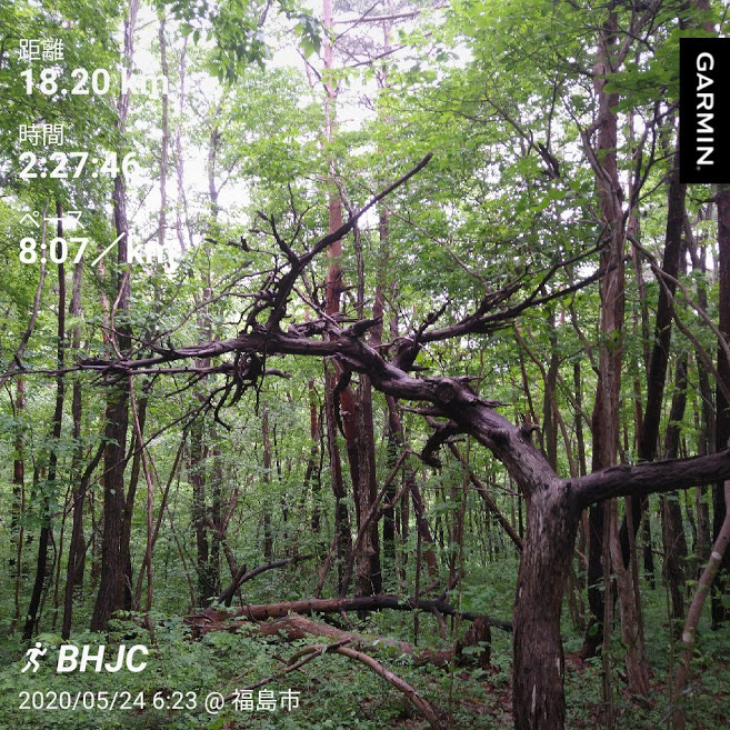 f:id:TOMSAI:20200526131456j:plain