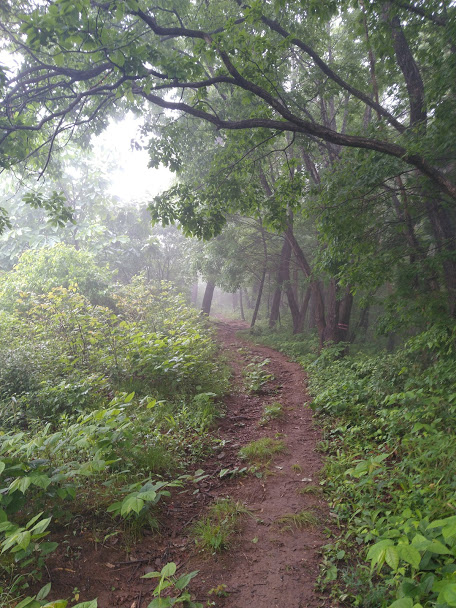 f:id:TOMSAI:20200526131757j:plain