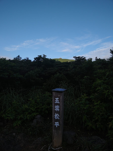 f:id:TOMSAI:20200803101904j:plain f:id:TOMSAI:20200803101904j:plain