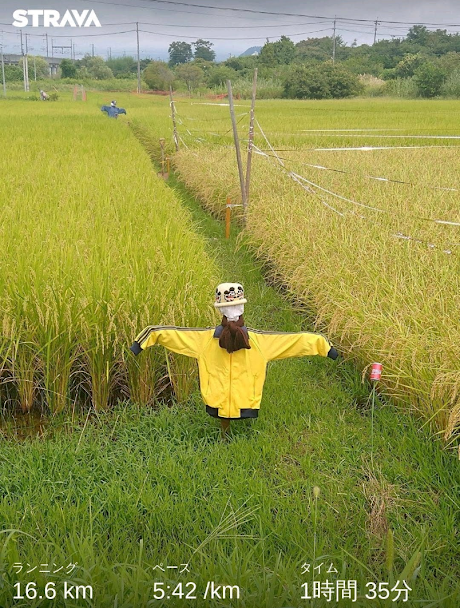 f:id:TOMSAI:20200831113221p:plain f:id:TOMSAI:20200831113221p:plain
