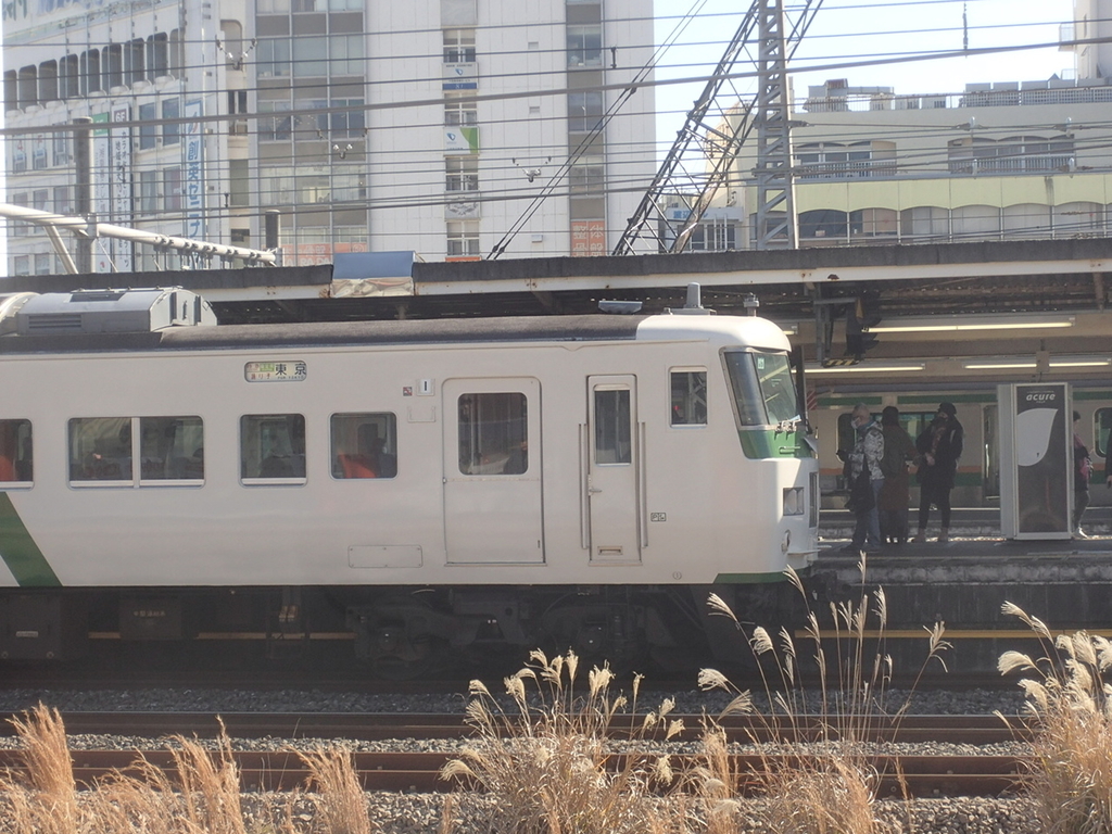 f:id:TOQ5050:20190203105612j:plain