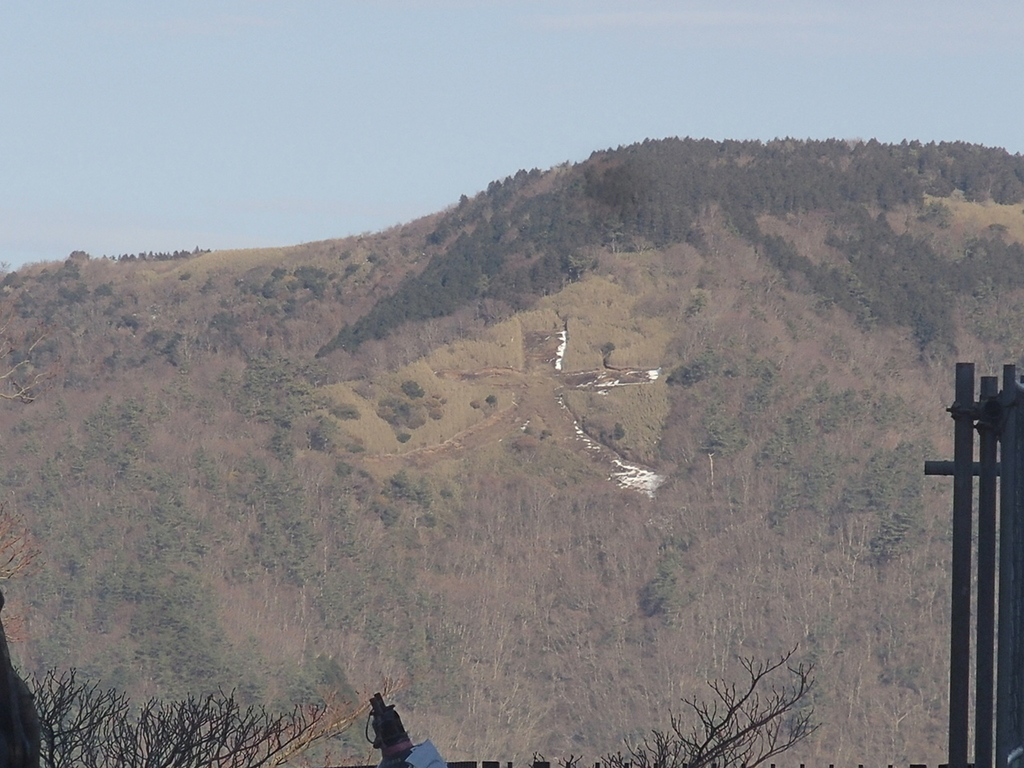 f:id:TOQ5050:20190203145505j:plain