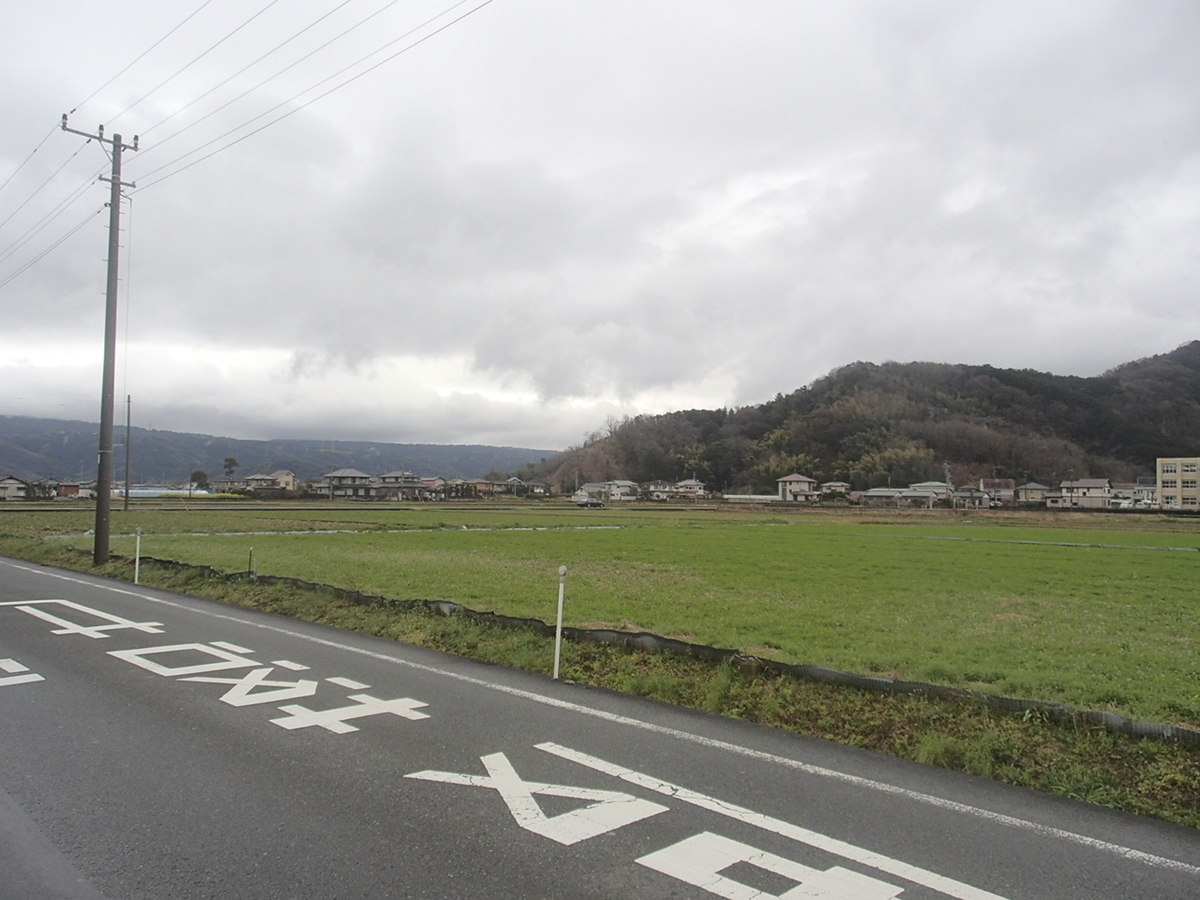 f:id:TOQ5050:20190307111705j:plain