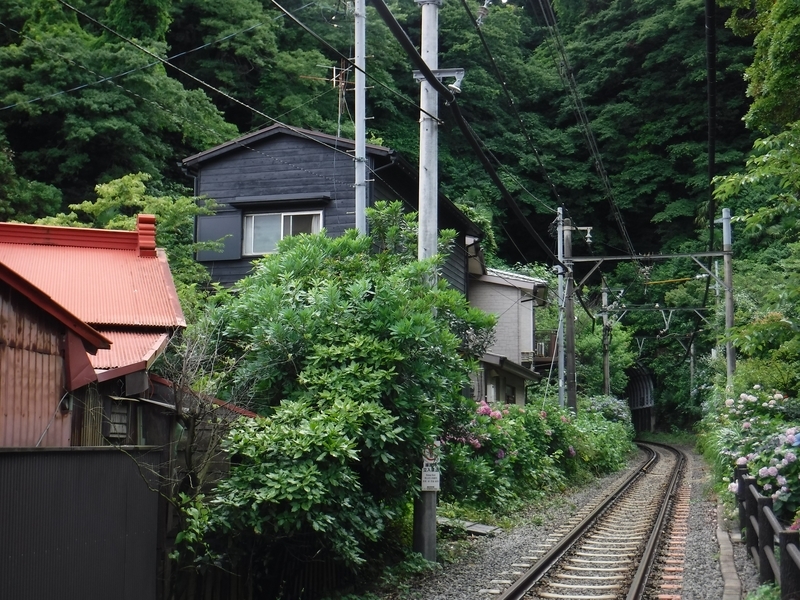 f:id:TOQ5050:20190623233435j:plain