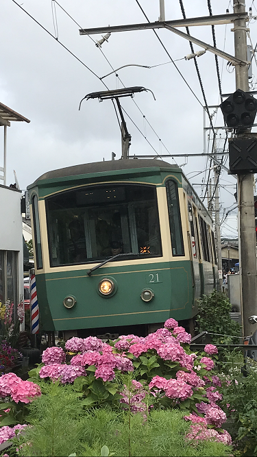 f:id:TOQ5050:20190630021536p:plain