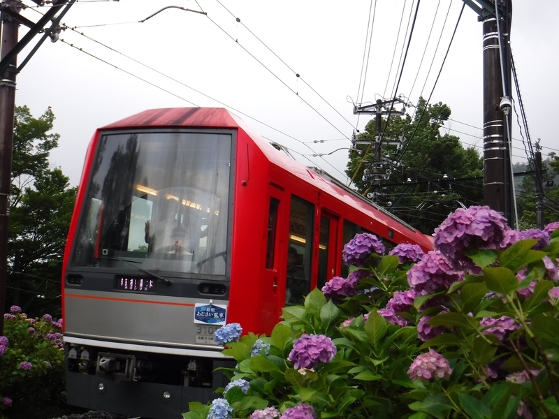 f:id:TOQ5050:20190630235022j:plain