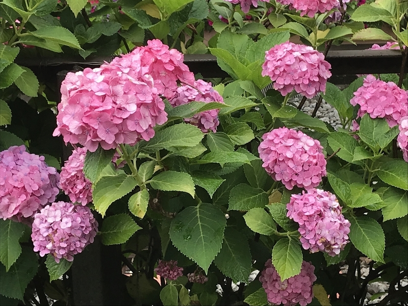 f:id:TOQ5050:20190731002724j:plain