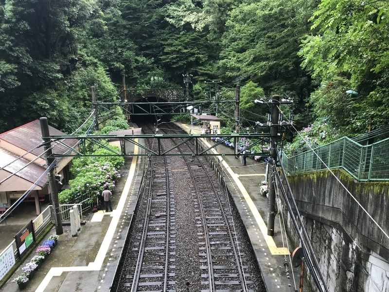 f:id:TOQ5050:20190731010044j:plain