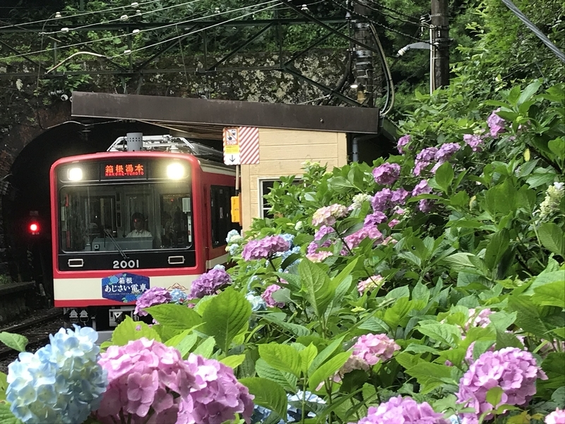 f:id:TOQ5050:20190731010157j:plain