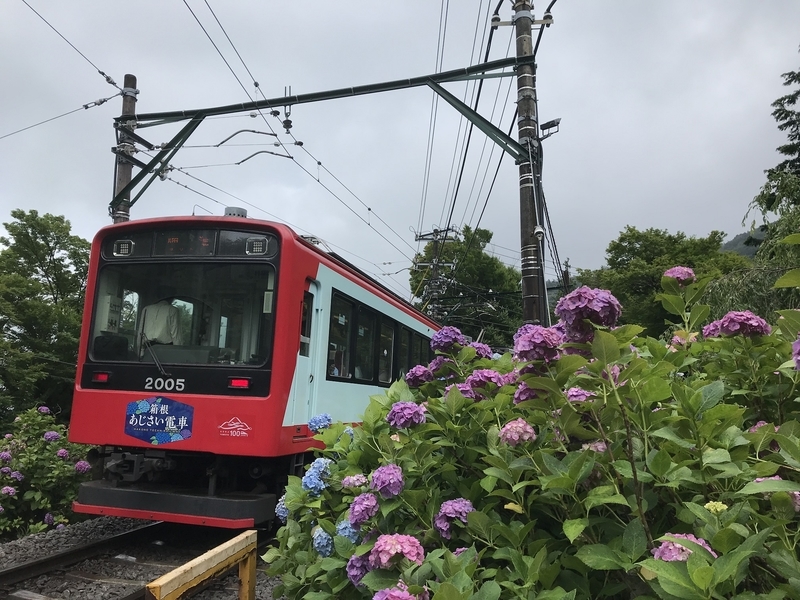 f:id:TOQ5050:20190731010711j:plain