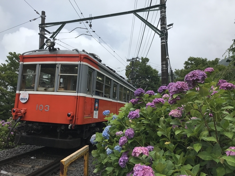 f:id:TOQ5050:20190731010759j:plain