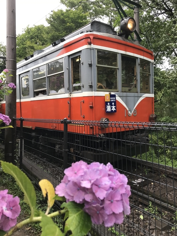 f:id:TOQ5050:20190731010859j:plain