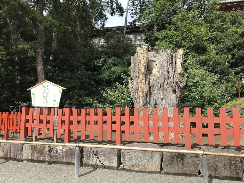 f:id:TOQ5050:20191002215711j:plain