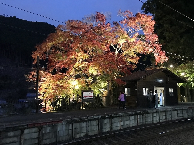 f:id:TOQ5050:20191209003227j:plain