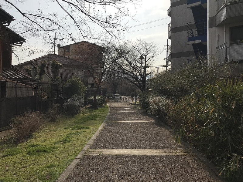 f:id:TOQ5050:20200219172309j:plain f:id:TOQ5050:20200219172309j:plain