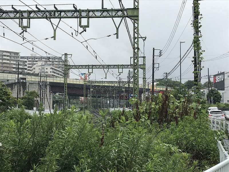 f:id:TOQ5050:20200613150406j:plain