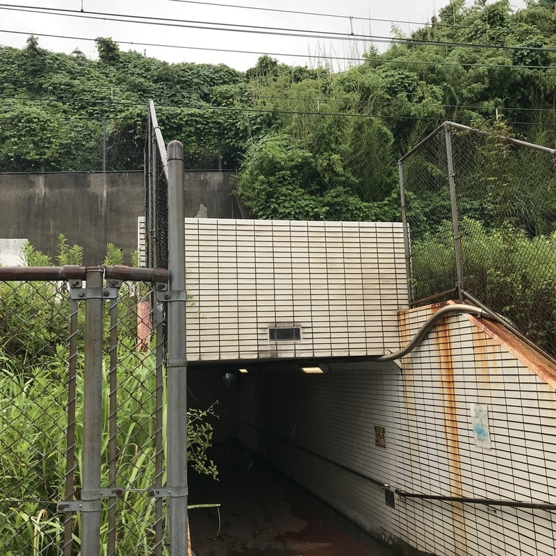 f:id:TOQ5050:20200613152603j:plain