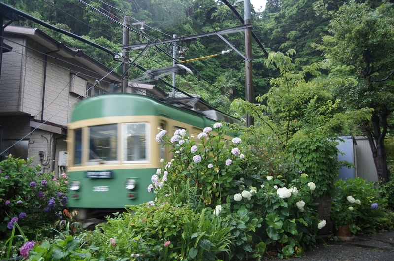 f:id:TOQ5050:20200613164318j:plain