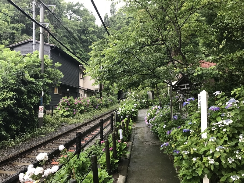 f:id:TOQ5050:20200613164448j:plain