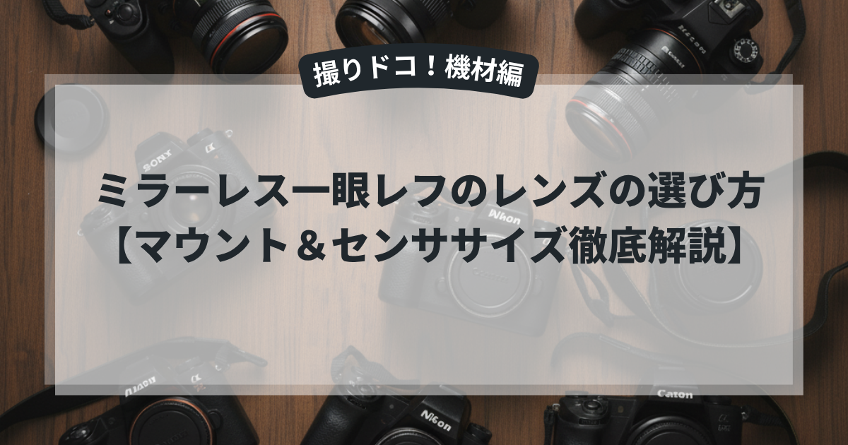 撮りドコ！機材編】ミラーレス一眼レフのレンズの選び方 【マウント