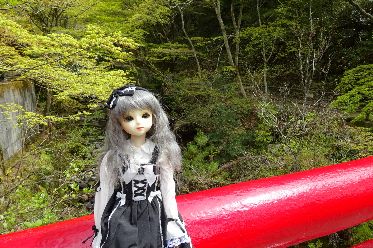 f:id:TORIARA230:20190418210617j:plain f:id:TORIARA230:20190418210617j:plain