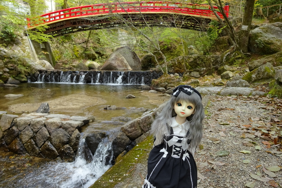 f:id:TORIARA230:20190418210922j:plain f:id:TORIARA230:20190418210922j:plain