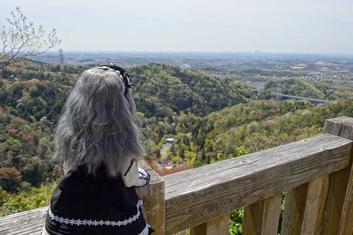 f:id:TORIARA230:20190418211201j:plain f:id:TORIARA230:20190418211201j:plain