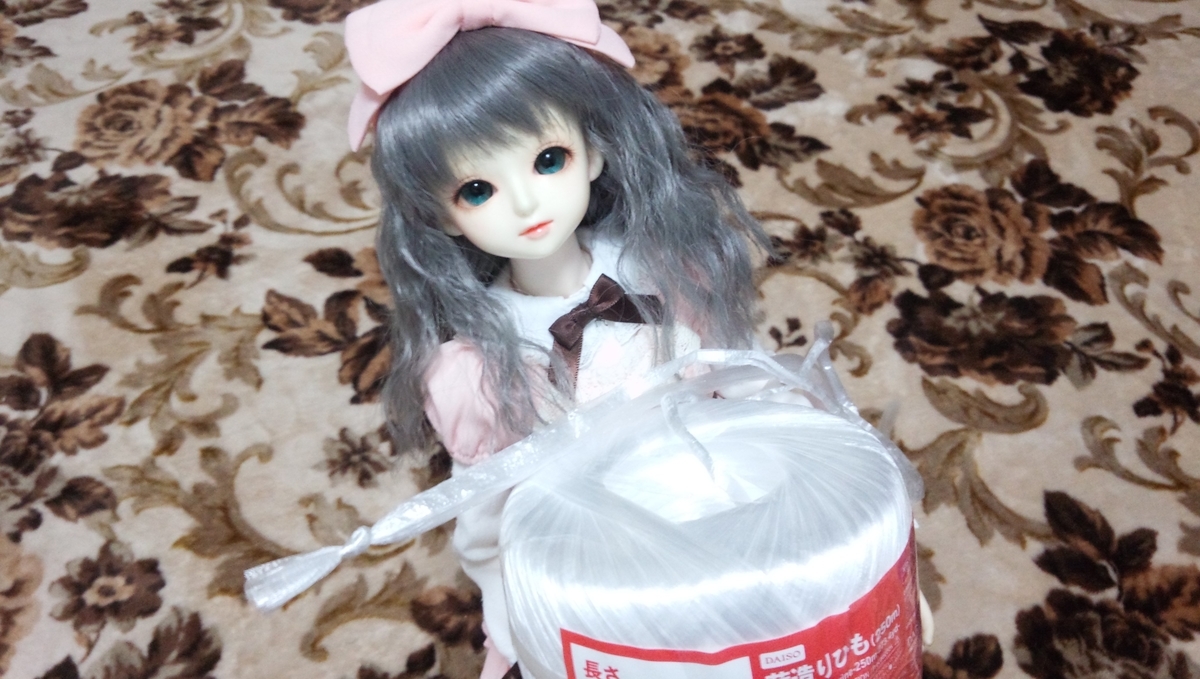 f:id:TORIARA230:20191204164431j:plain f:id:TORIARA230:20191204164431j:plain
