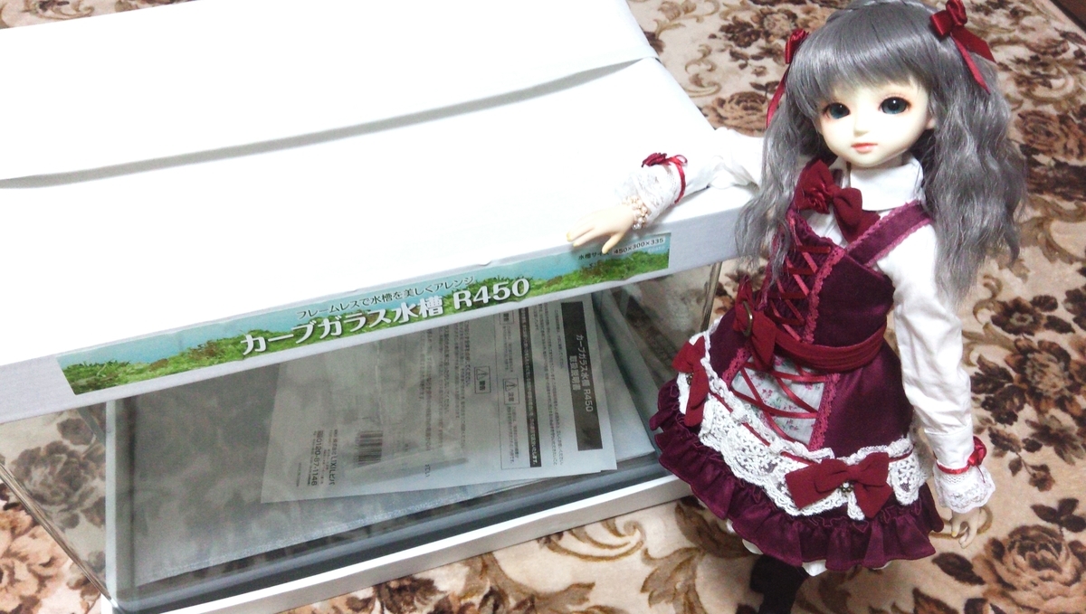 f:id:TORIARA230:20200124190304j:plain f:id:TORIARA230:20200124190304j:plain