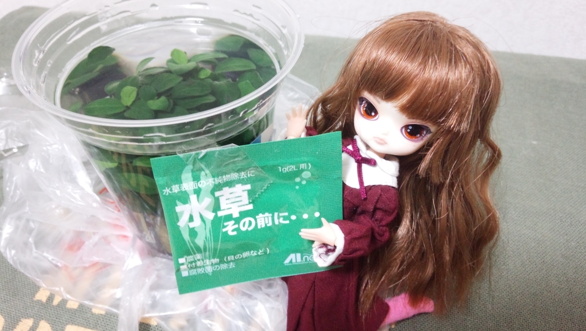 f:id:TORIARA230:20200302162459j:plain f:id:TORIARA230:20200302162459j:plain
