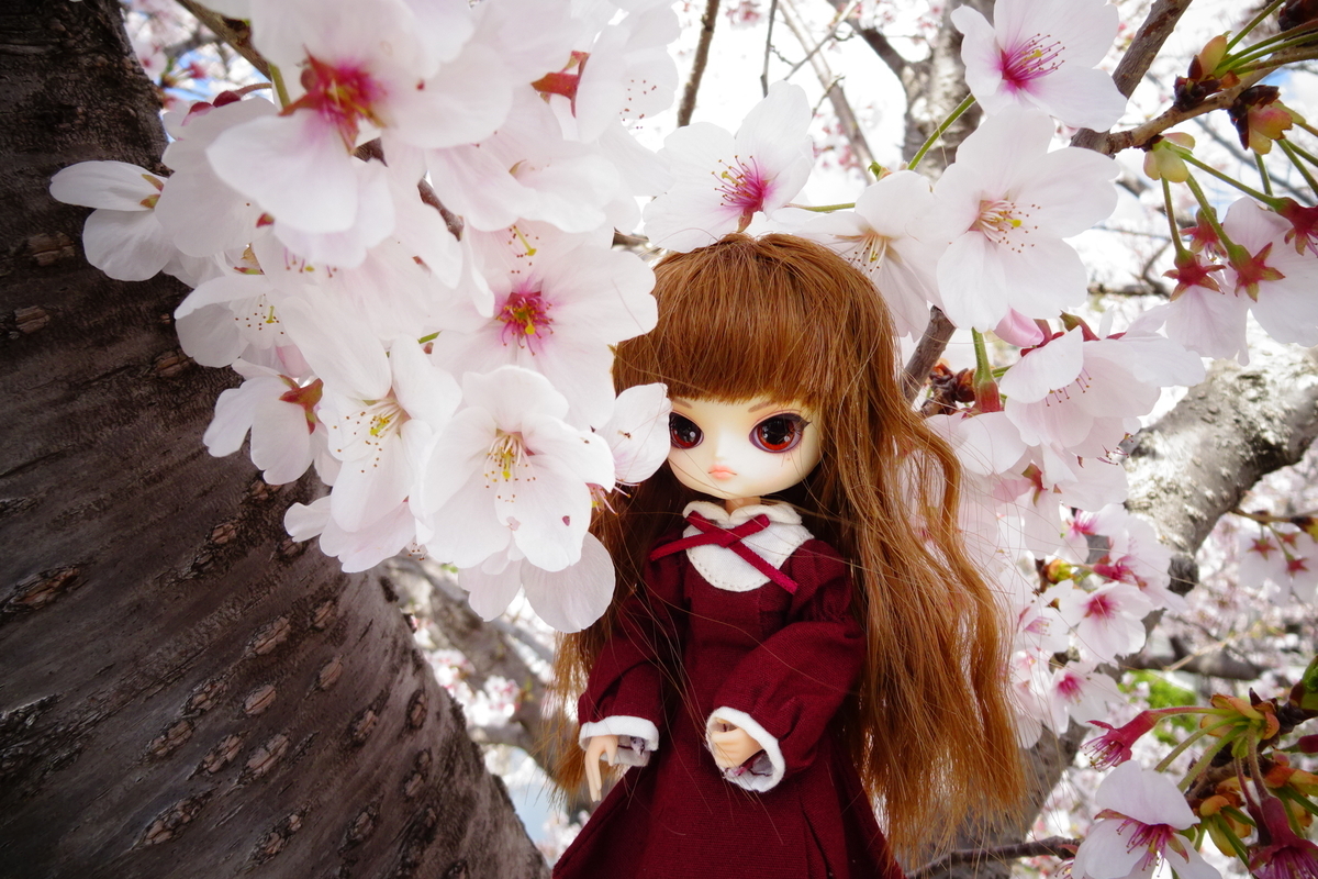 f:id:TORIARA230:20220404174221j:plain