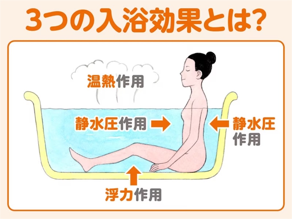 f:id:TOTAN:20240620040811j:image