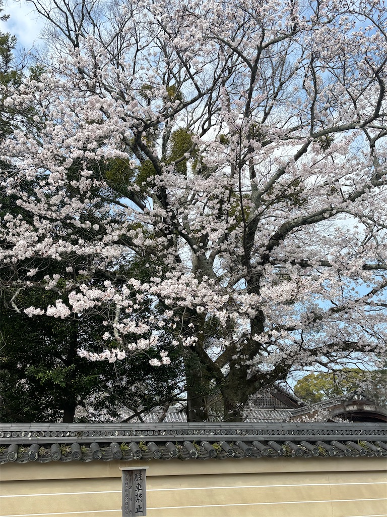 f:id:TOTAN:20260409041321j:image