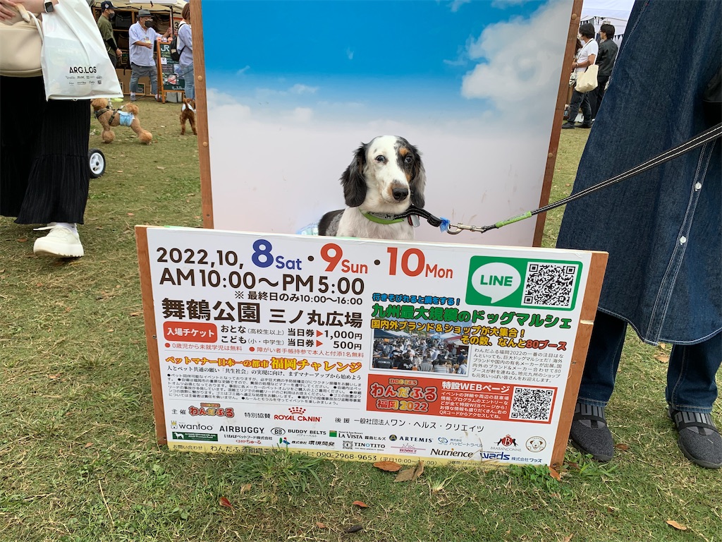 f:id:TOWARA:20221009221251j:image