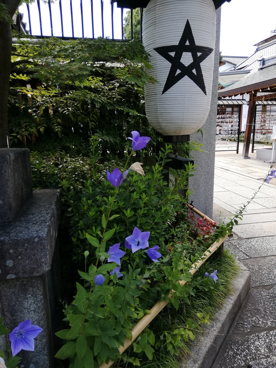 f:id:TOYquite:20210729211220j:plain