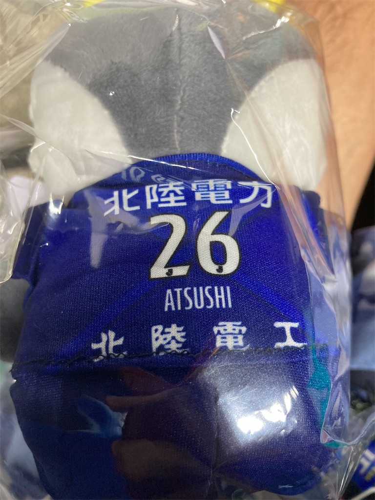 f:id:TRASH:20240914195656j:image