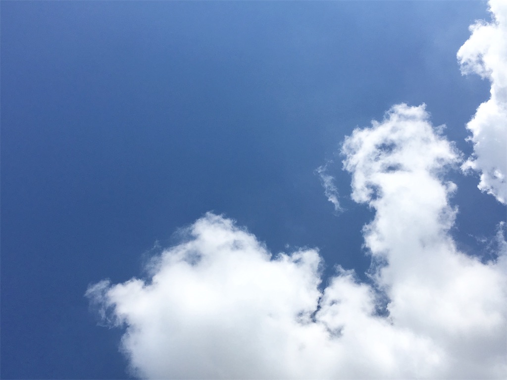 f:id:TS-d:20190531131929j:image f:id:TS-d:20190531131929j:image