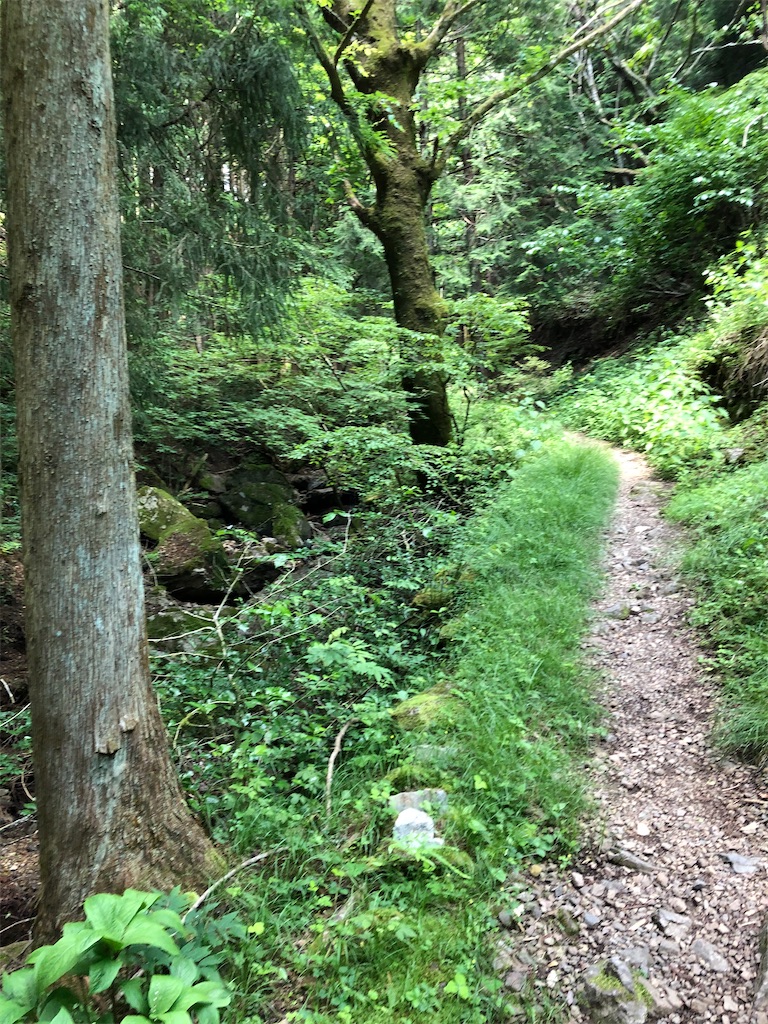 f:id:TSTSONT:20200608213223j:image f:id:TSTSONT:20200608213223j:image