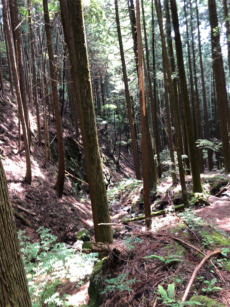 f:id:TSTSONT:20200608213300j:image f:id:TSTSONT:20200608213300j:image