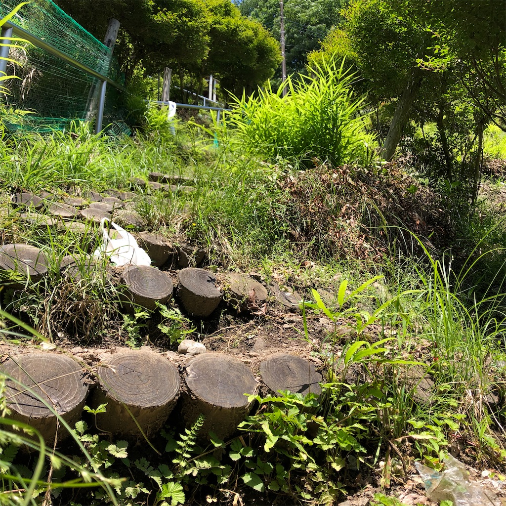 f:id:TSTSONT:20200608213313j:image f:id:TSTSONT:20200608213313j:image