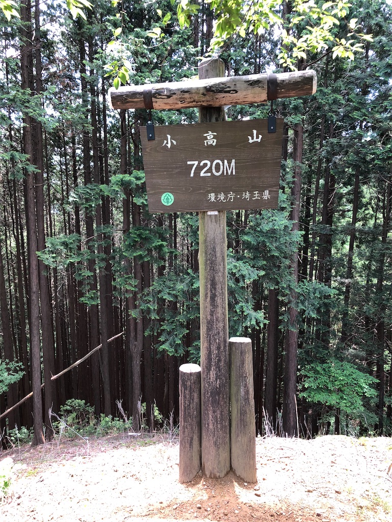 f:id:TSTSONT:20200608213347j:image f:id:TSTSONT:20200608213347j:image