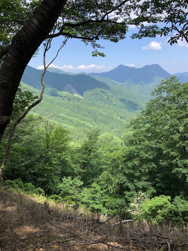 f:id:TSTSONT:20200608213408j:image f:id:TSTSONT:20200608213408j:image