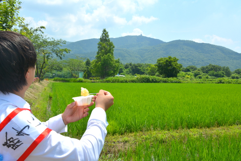 f:id:TSUKUBAtaishis:20160628110355j:plain