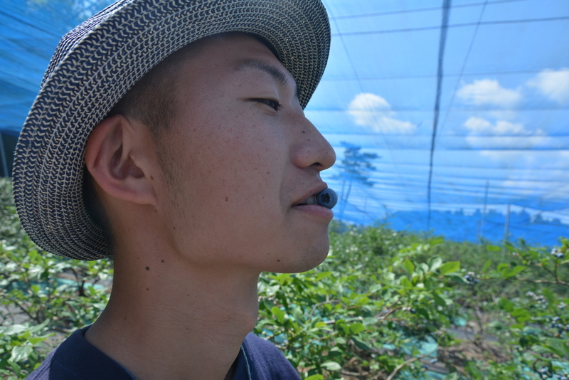f:id:TSUKUBAtaishis:20160702082014j:plain