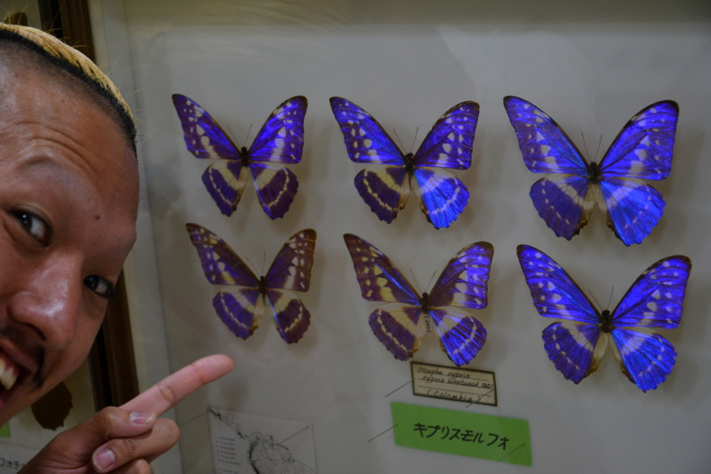 f:id:TSUKUBAtaishis:20160823013417j:plain f:id:TSUKUBAtaishis:20160823013417j:plain