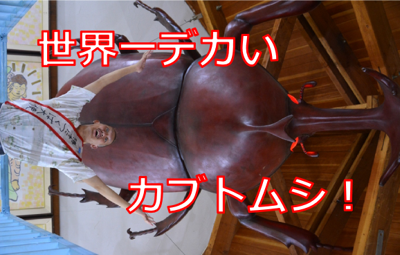 f:id:TSUKUBAtaishis:20160823013930p:plain f:id:TSUKUBAtaishis:20160823013930p:plain